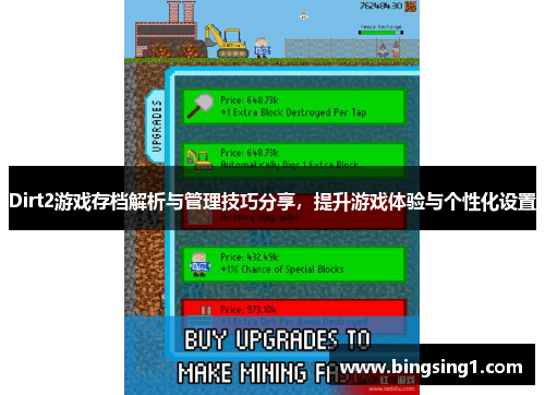 Dirt2游戏存档解析与管理技巧分享，提升游戏体验与个性化设置
