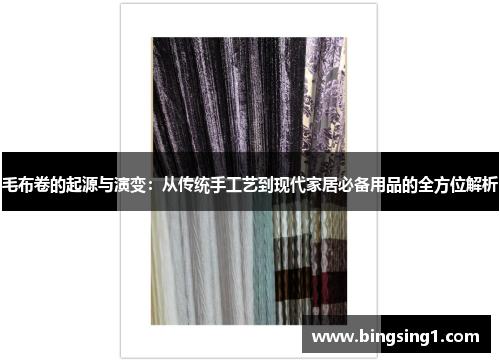 毛布卷的起源与演变：从传统手工艺到现代家居必备用品的全方位解析