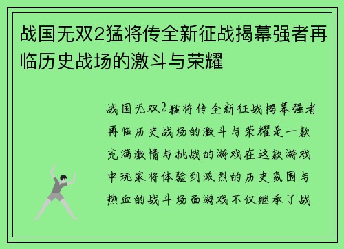 战国无双2猛将传全新征战揭幕强者再临历史战场的激斗与荣耀